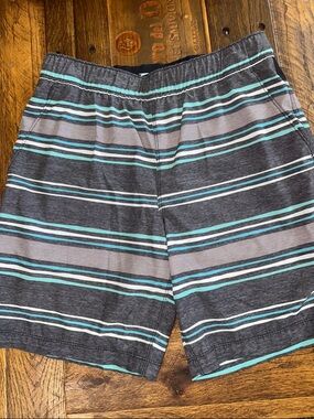 Speedo Tech Volley Swim Shorts ✔️